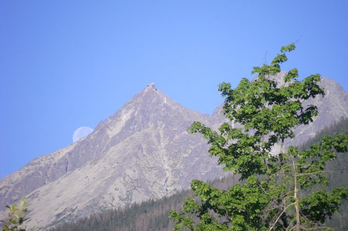 Łomnica